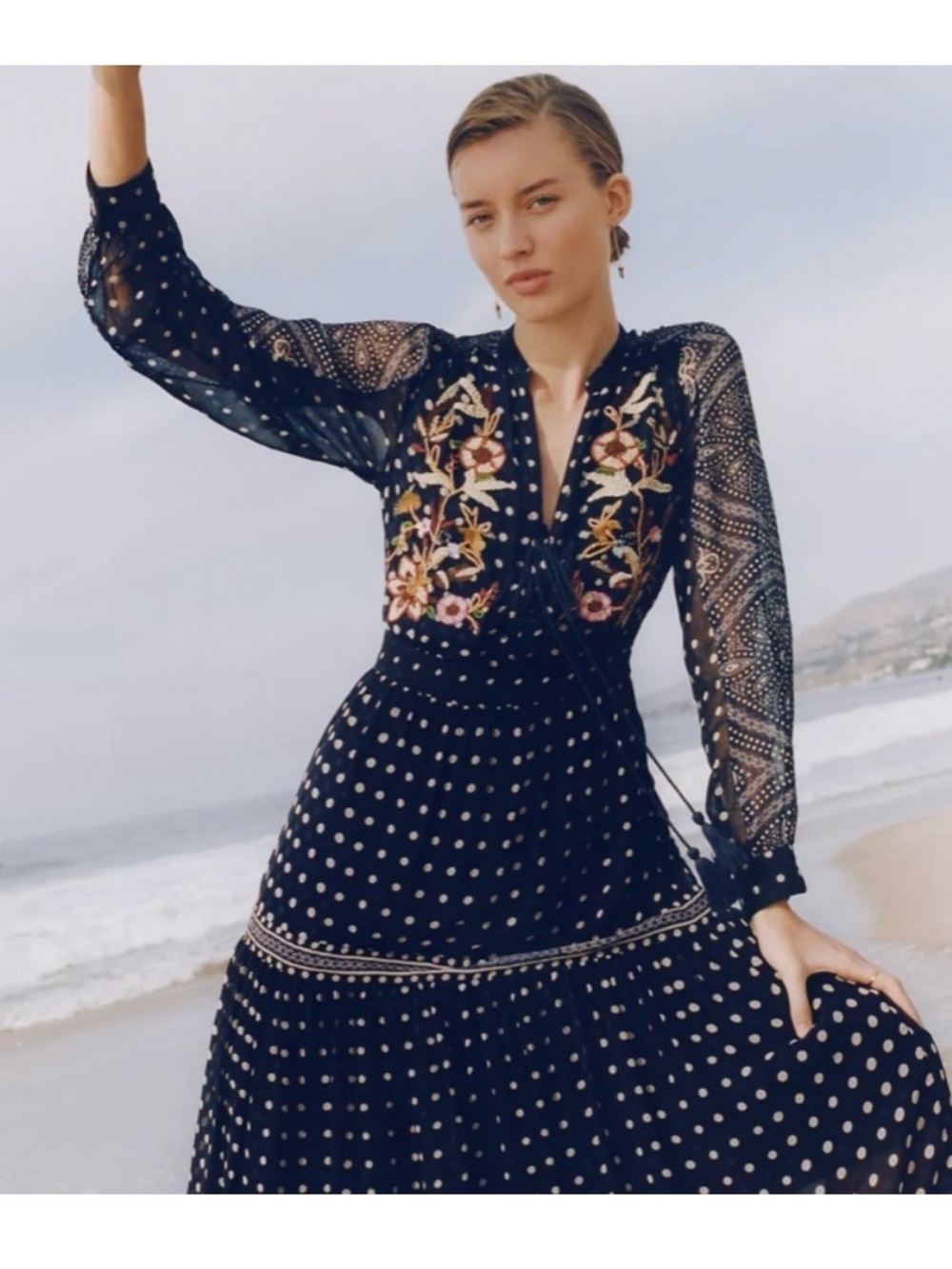 Anthropologie Maeve Dress with Floral Embroidered Bodice and Ivory Dots Size 0